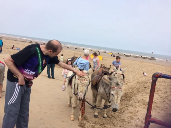 Donkey Rides