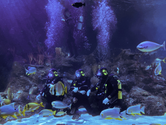 Skegness Aquarium